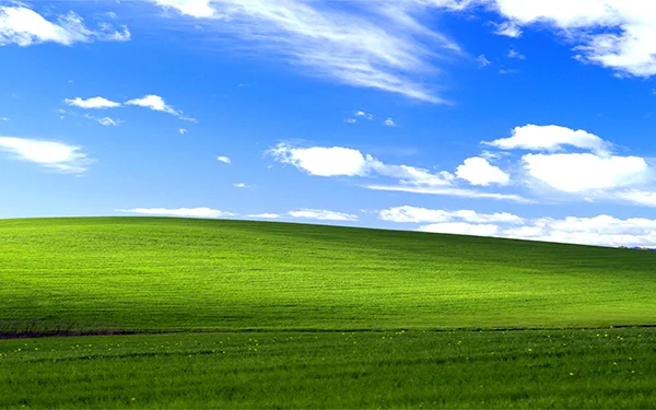 1A_Windows_11_Image