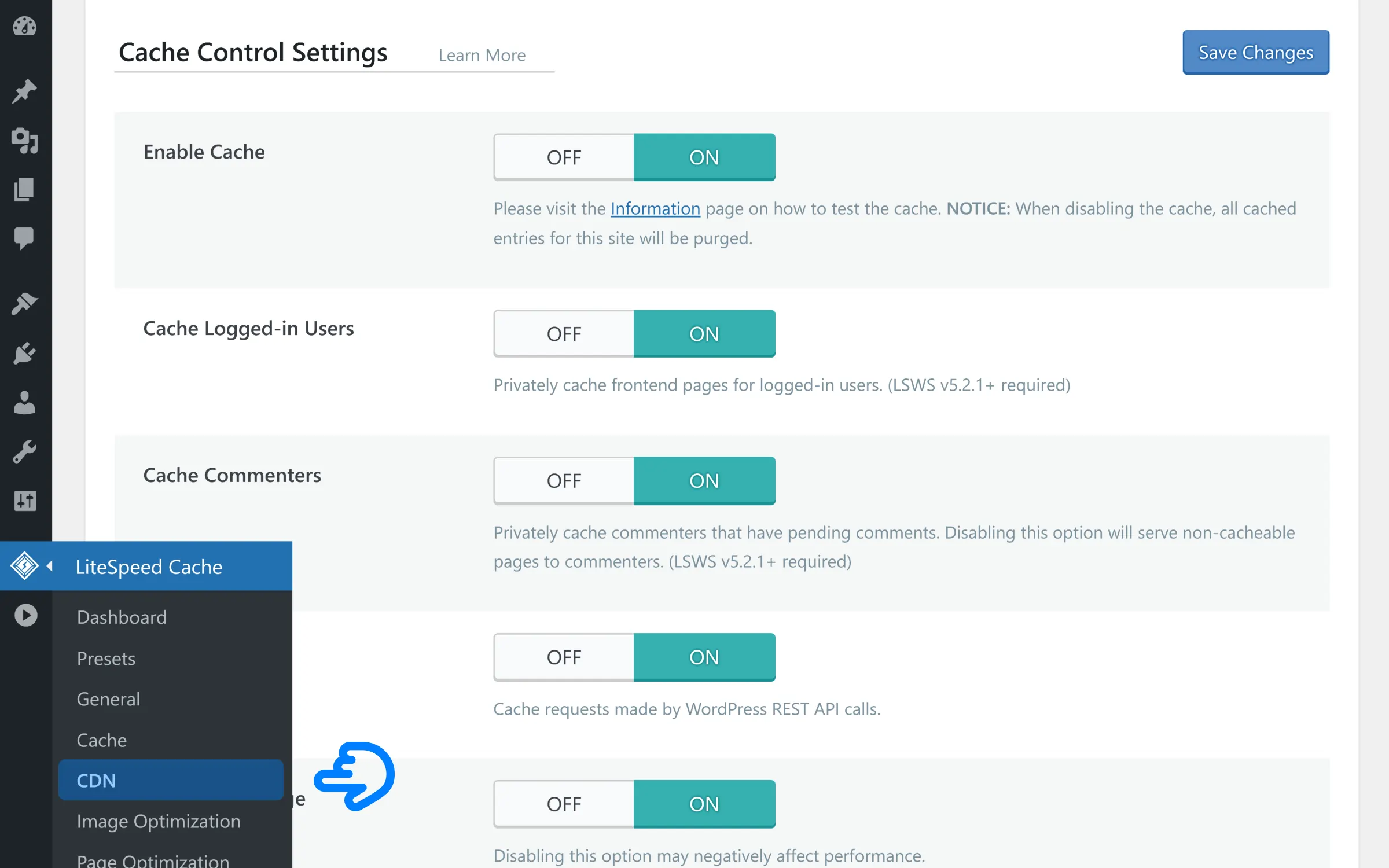 Web-LighthousePerformanceScoring-LiteSpeedCacheCDNSettings